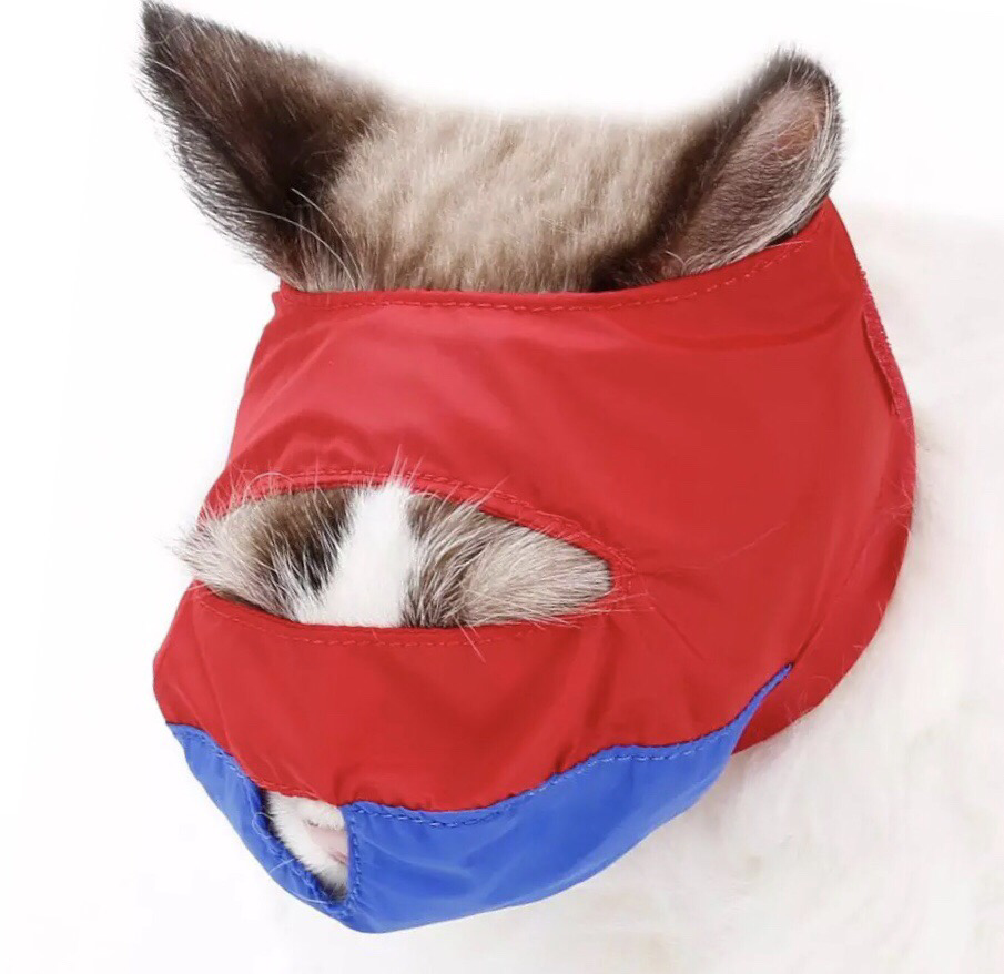 Cat Muzzle