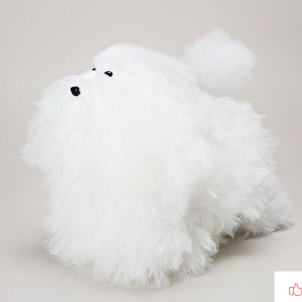 Show Wig- White